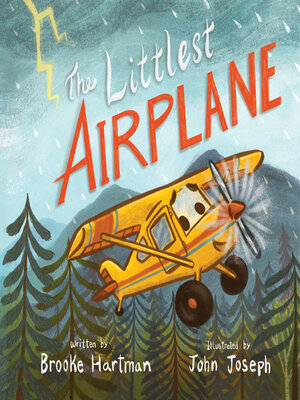 cover image of The Littlest Airplane
